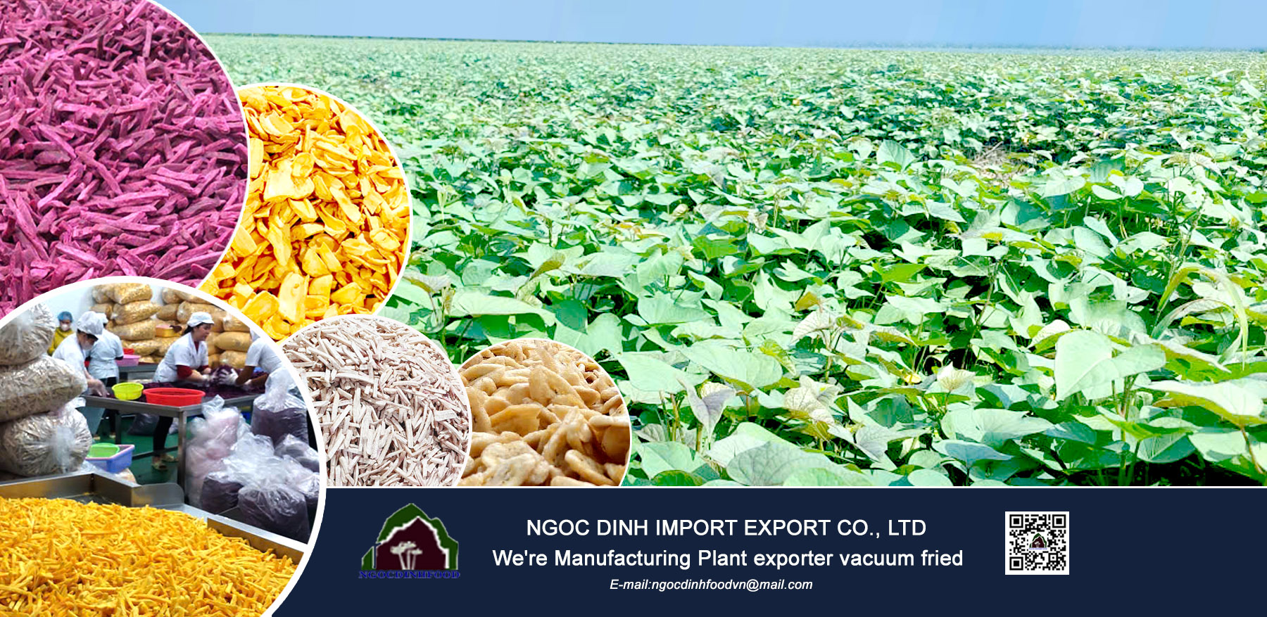 Vacuum Fried Fruit 7